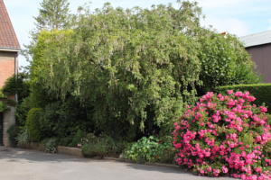 Hebergement Gite les Lilas : photos des chambres