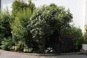 Hebergement Gite les Lilas : photos des chambres