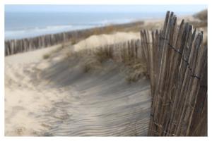 Hebergement La Capelette : Gîte (4 Adultes)
