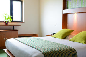 Hotel Best Western Porte Sud de Geneve : photos des chambres