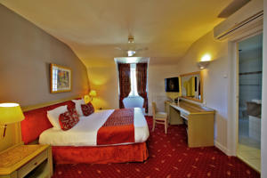 Hotel le Centenaire : photos des chambres