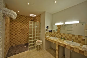 Hotel le Centenaire : photos des chambres