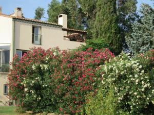 Hebergement Mas Lamon : Appartement 1 Chambre (2 Adultes)