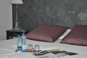 Chambres d'hotes/B&B Villa Hortebise : Suite