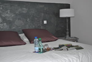 Chambres d'hotes/B&B Villa Hortebise : photos des chambres