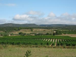 Chambres d'hotes/B&B Domaine de Campras B&B : 