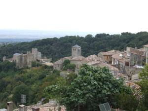 Chambres d'hotes/B&B Domaine de Campras B&B : Roulotte 