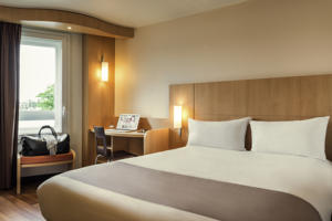Hotel ibis Paris Coeur d'Orly Airport : Chambre Double Standard