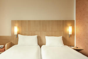 Hotel ibis Paris Coeur d'Orly Airport : photos des chambres