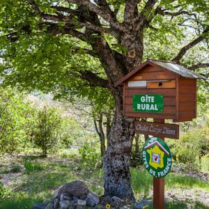 Hebergement Chalet Carpe Diem : photos des chambres