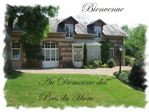 Chambres d'hotes/B&B Le Domaine des Pres du Hom : photos des chambres
