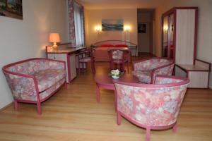 Hotel Logis Hostellerie De La Reine Blanche : Suite