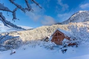Hebergement Chalet Carpe Diem : photos des chambres