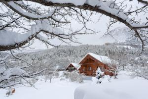 Hebergement Chalet Carpe Diem : photos des chambres