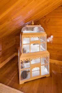Hebergement Chalet Carpe Diem : photos des chambres