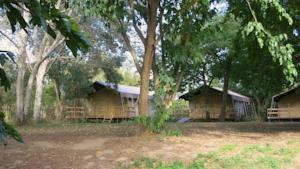 Hebergement Camping Bellerive : photos des chambres