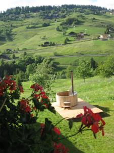 Hebergement La Ferme des Georgieres : photos des chambres