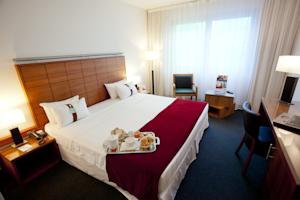 Hotel Holiday Inn Bordeaux Sud - Pessac : photos des chambres