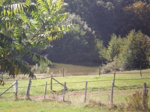 Chambres d'hotes/B&B La Bergerie : Chambre Lits Jumeaux avec Salle de Bains Privative