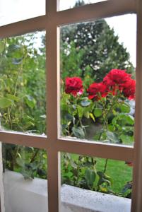 Chambres d'hotes/B&B Villa Hortebise : Chambre Double Deluxe - Vue sur Jardin