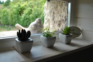 Hebergement Auvergnat'Home : photos des chambres