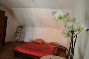Chambres d'hotes/B&B Le Betrot : photos des chambres