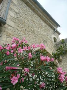 Chambres d'hotes/B&B Chateau Villotte : photos des chambres