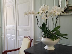 Chambres d'hotes/B&B Abbaye de Vauluisant : photos des chambres