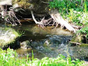 Hebergement Gite La Louviere : photos des chambres