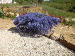 Hebergement Villa Le Tournesol : photos des chambres