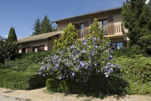 Hotel & Restaurant Azur : Bungalow avec Jardin