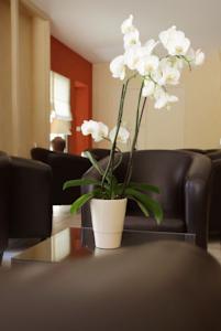Hotel des Roches : photos des chambres