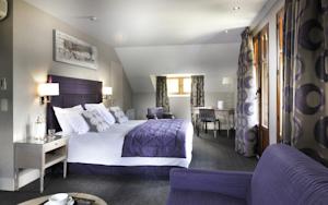 HOTEL COTTAGE BISE TALLOIRES LAC D'ANNECY : photos des chambres