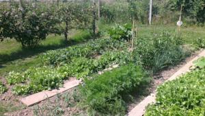 Hebergement Domaine de la Rainette : photos des chambres