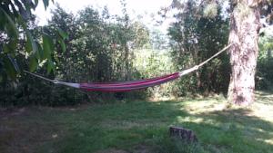 Hebergement Domaine de la Rainette : photos des chambres