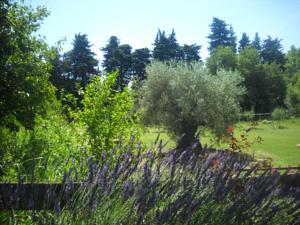 Appartement dans Mas Provencal : photos des chambres