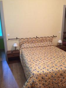 Hebergement Le Parc aux Cedres : photos des chambres