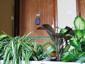 Appartement Les Bulles 