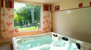 Chambres d'hotes/B&B Domaine de la Mare Elan : Suite 2 Chambres - Chocolat