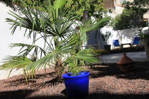 Chambres d'hotes/B&B B&B - Comme a la Maison : photos des chambres