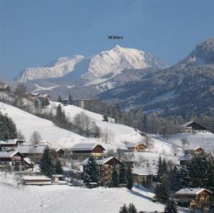 Appartement Chalet Mon Idole : photos des chambres