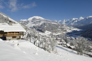 Appartement Studio Bel'Alp : photos des chambres