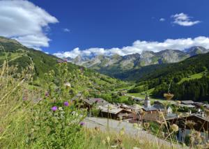 Appartement Studio Bel'Alp : photos des chambres