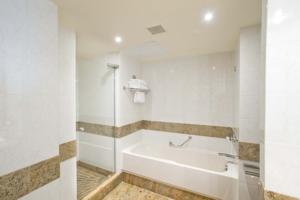 Hotel Hilton Paris Charles De Gaulle Airport : photos des chambres