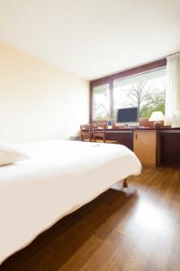 Hotel Nancy Sud Vandoeuvre : photos des chambres