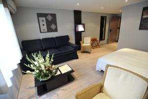 Logis Cottage Hotel : Studio