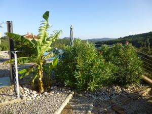 Hebergement Villa Le Tournesol : photos des chambres