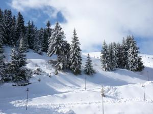 Hotel - Restaurant Le Blanchon : photos des chambres