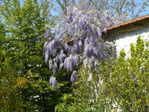 Hebergement Gites de la Grande Ferme : photos des chambres