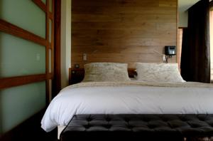 Hotel Domaine des Avenieres : photos des chambres
